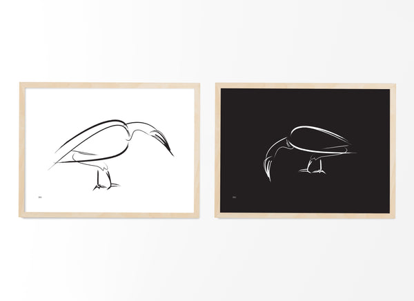 Birds (black&white)