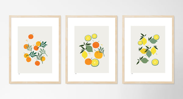 Composition of fruits