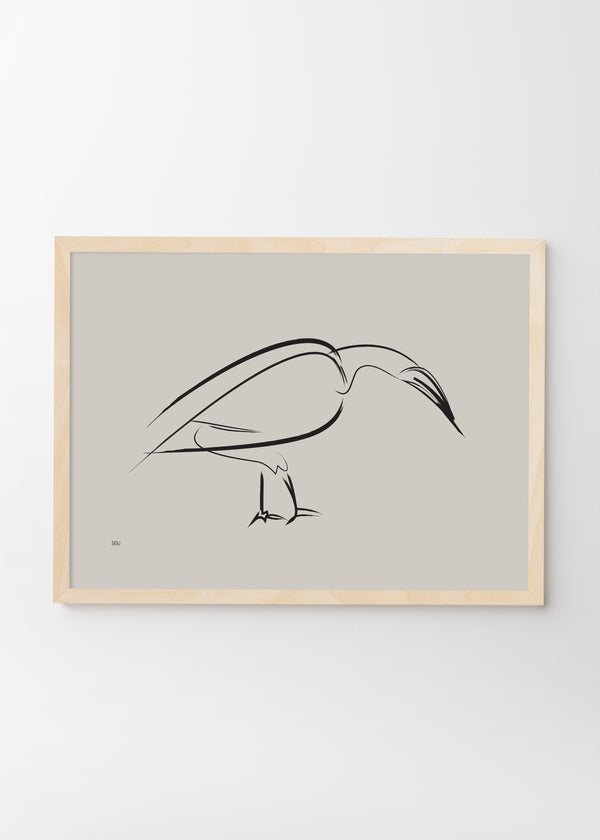 Birds A