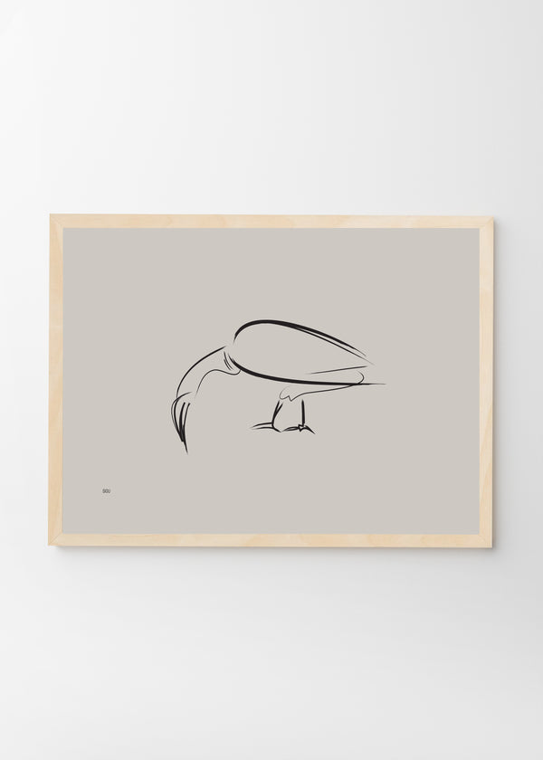 Birds B