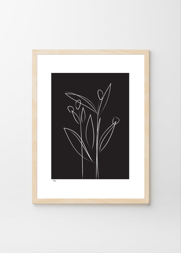 Plants (dark) B